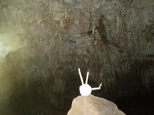 Sobre la nueva edad de las cavernas: el estudio de los ecosistemas
